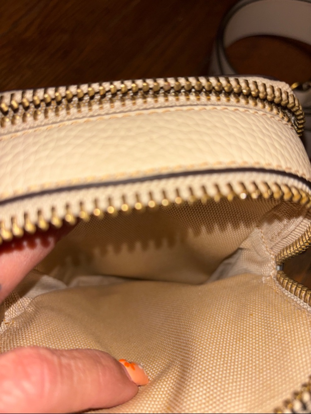 Coach x Mint & Serf North/South Charter Crossbody Bag - Limited Edition EUC - Picture 9 of 15